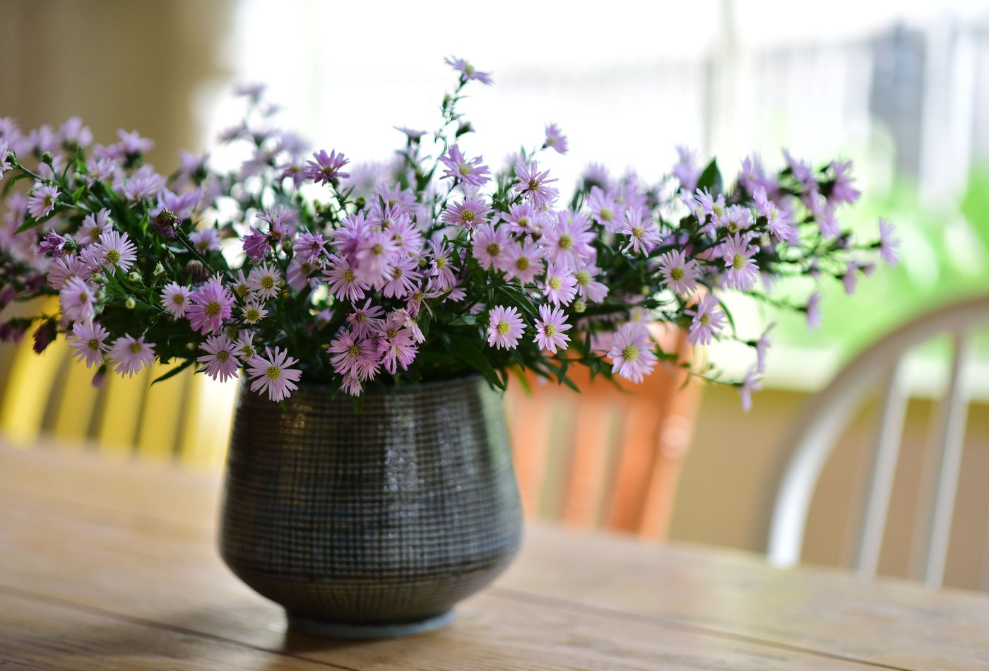 The same flowers, at home