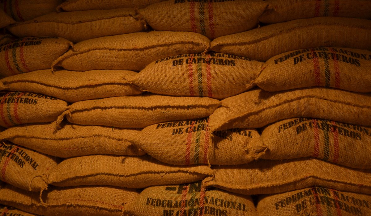 Sacks of green coffee at the roastery